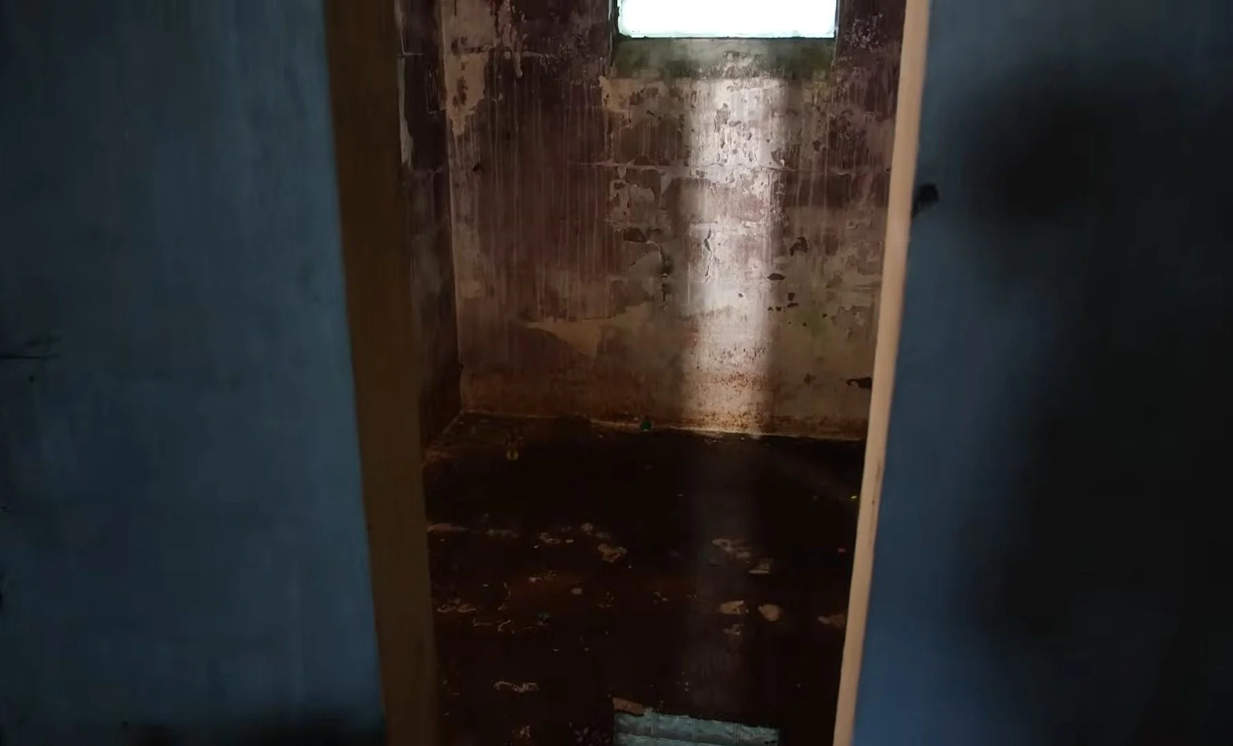 Mold Prevention After Basement Flooding Illinois