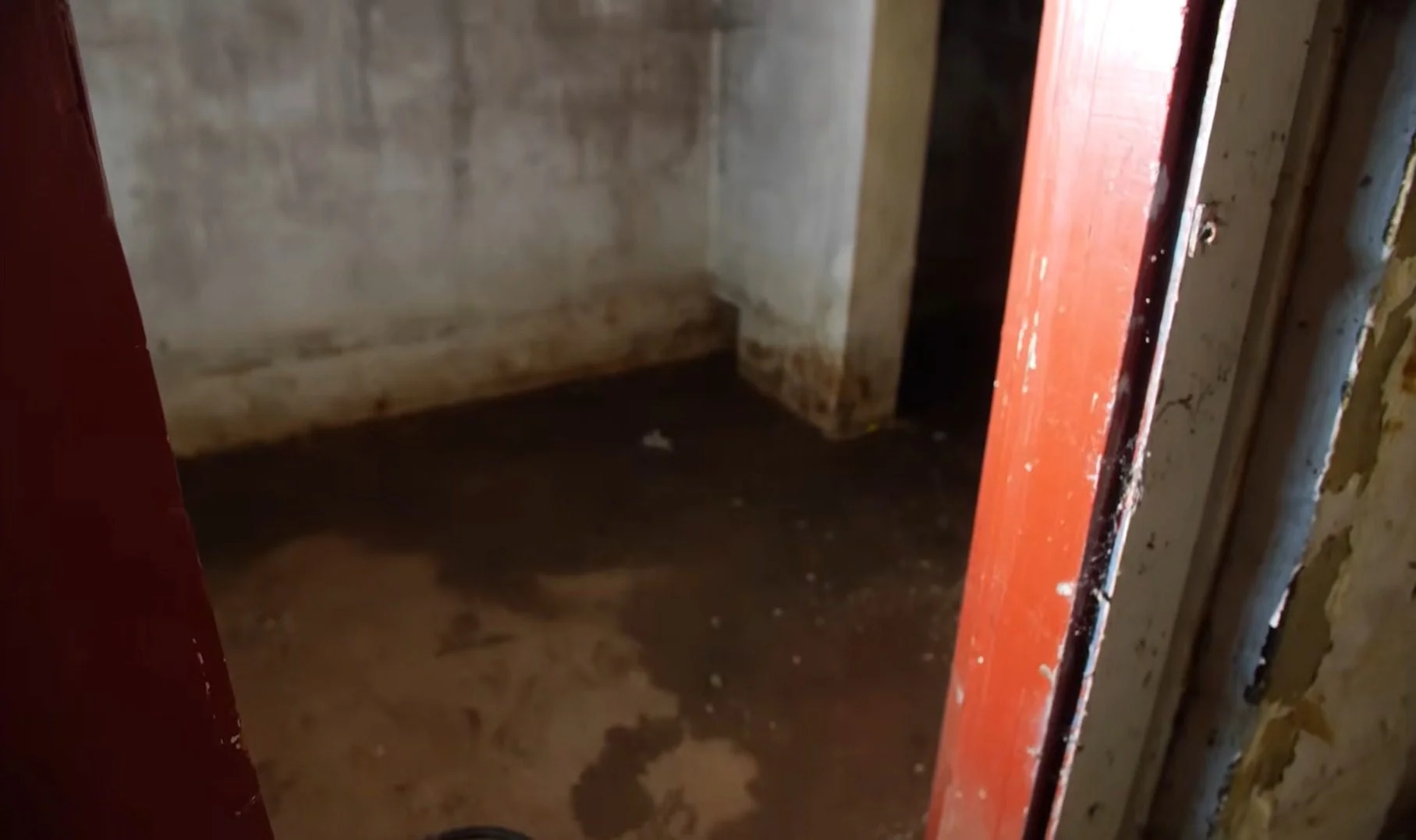 About Rapid Basement Relief