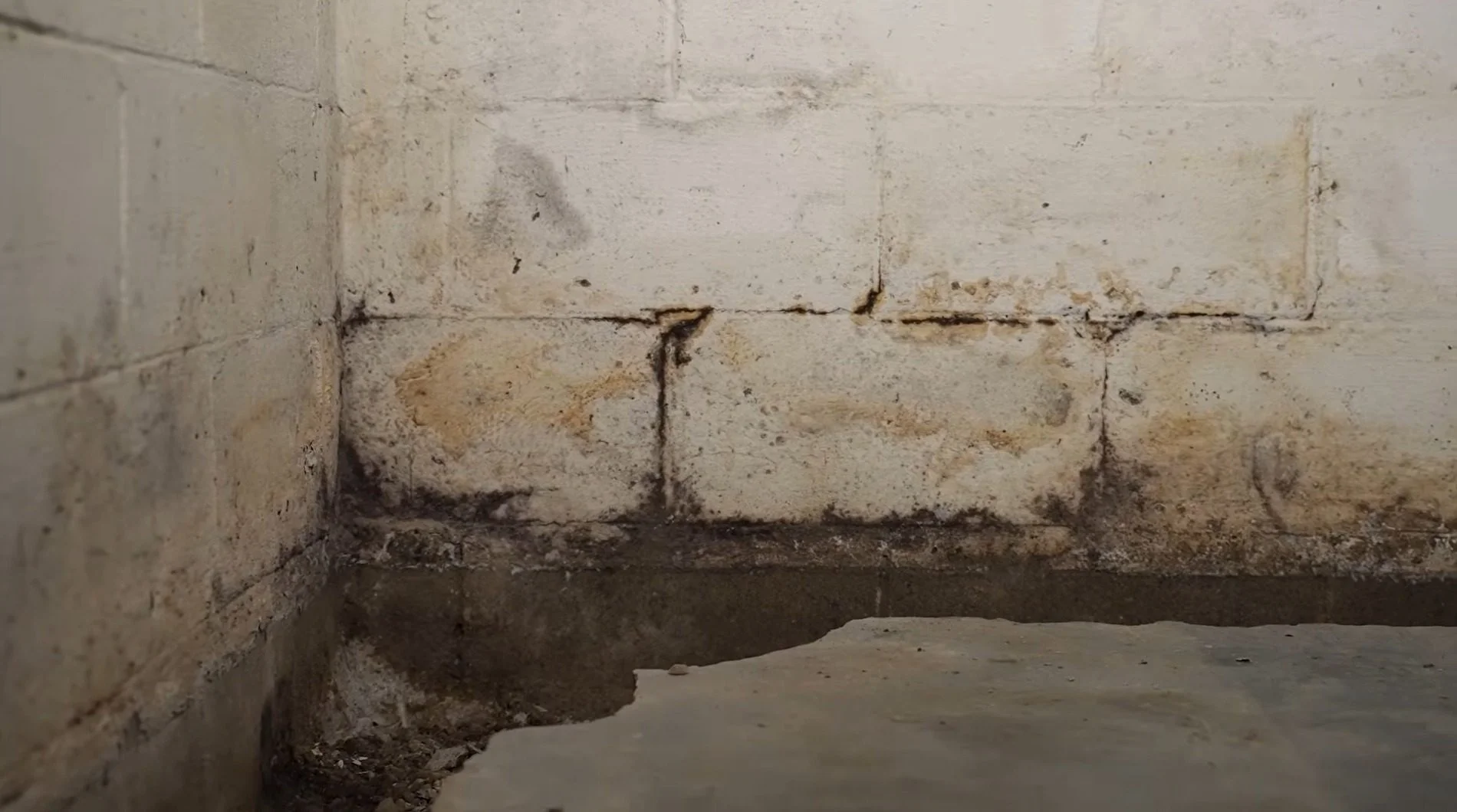 Sump Pump Failure Cleanup in Darien, IL