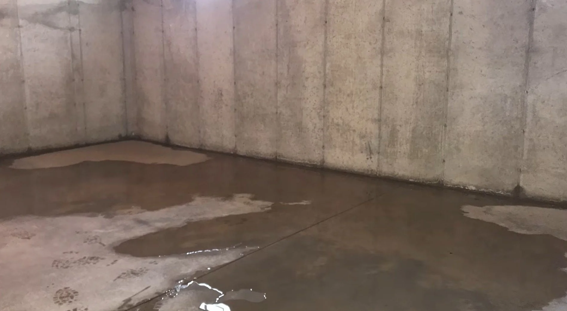 About Rapid Basement Relief