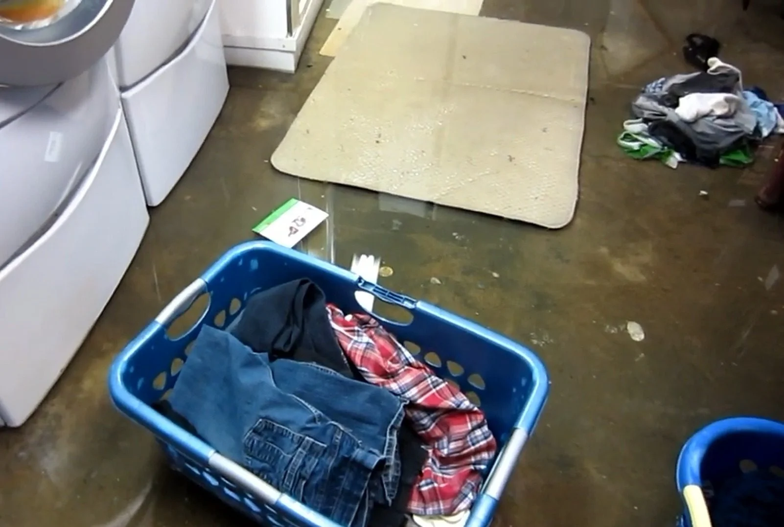 Sump Pump Failure Cleanup in Ridott, IL