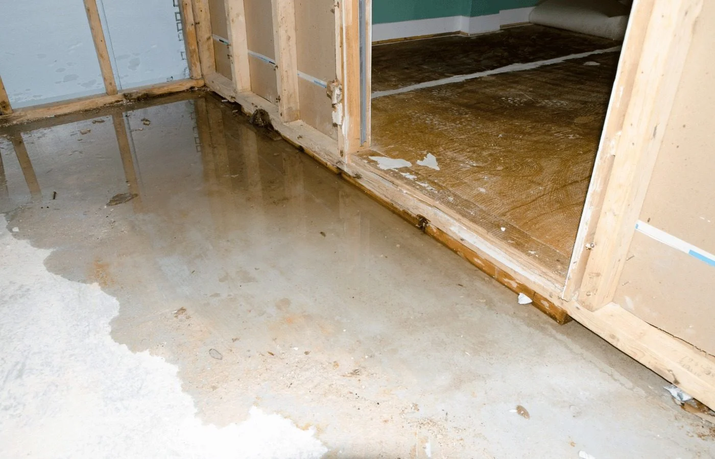 Mold Prevention After Basement Flooding Illinois