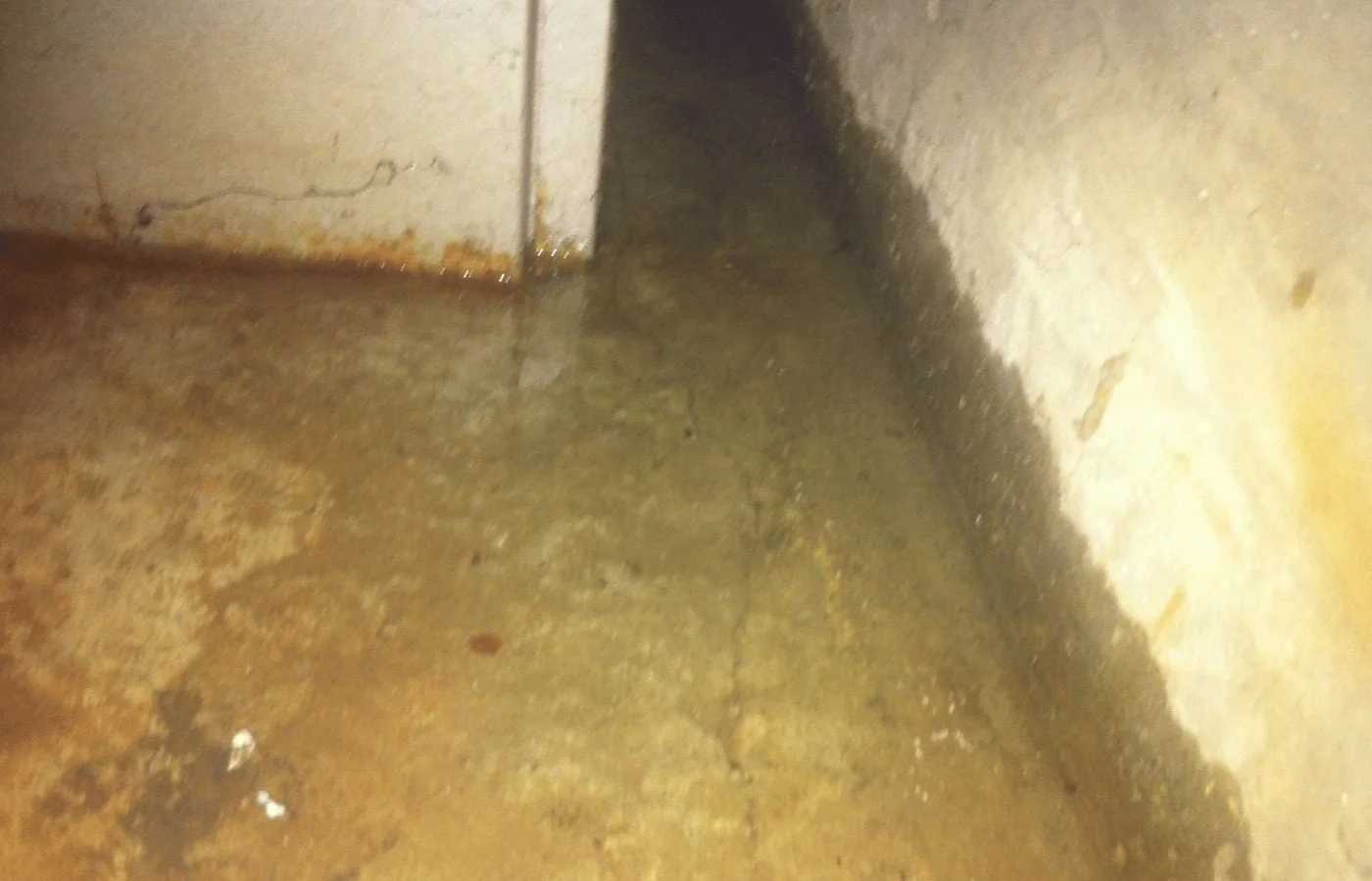 Sump Pump Failure Cleanup in Bartlett, IL
