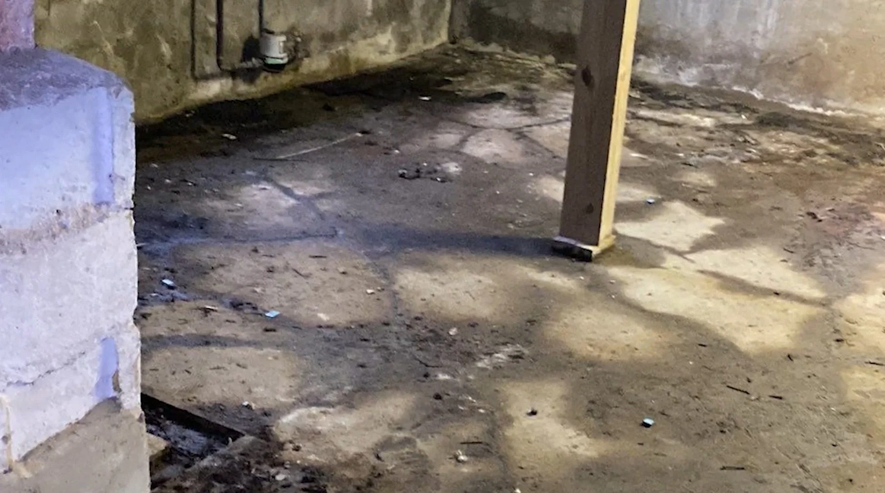 Sump Pump Failure Cleanup in Itasca, IL